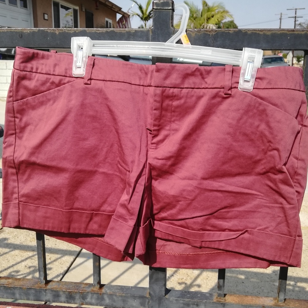 Mossimo Shorts in Brick/Rust
